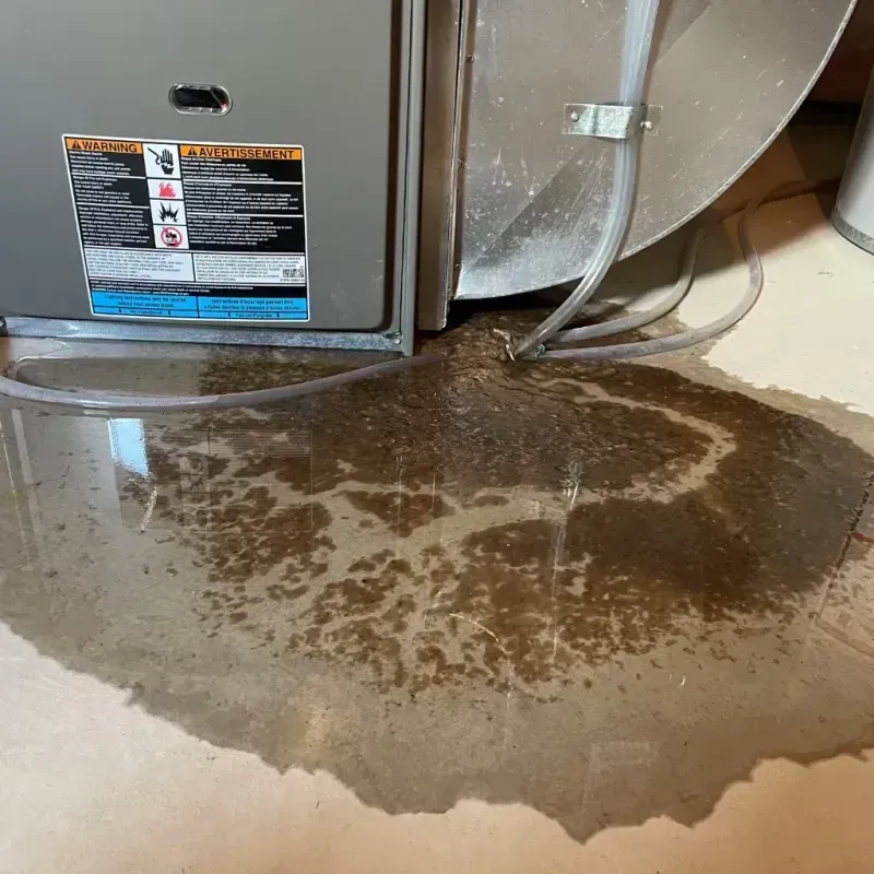 Appliance Leak Cleanup in Edenton, NC